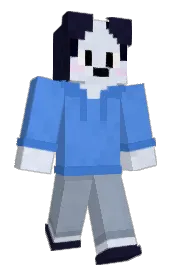 Skin preview