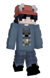 Front of Mnkynoodles's skin