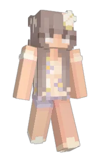 Front of 747z's skin