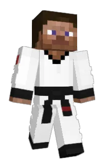 heybroimcool's Minecraft skin