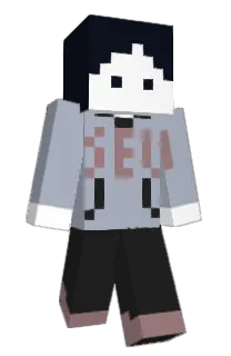 Front of Minecraft skin