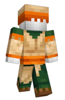 Front of theBOC666's skin