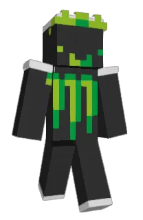 Front of gowork996's skin