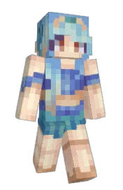 Skin preview