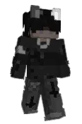 bro_player