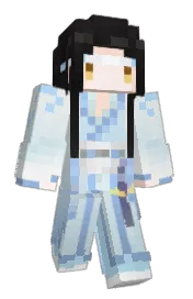 Skin preview