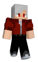 Minecraft skin — Classic model