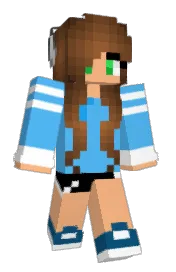 Skin preview