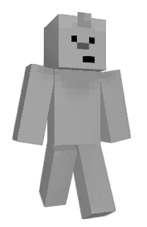 Front of aguhs's skin