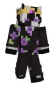 Ev3DT
