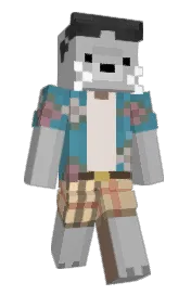 Skin preview