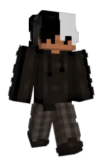 Front of Flynzlol's skin