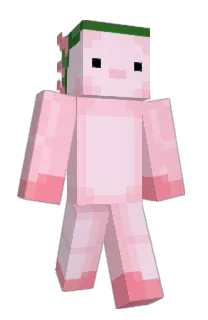 Front of Minecraft skin