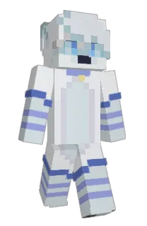 Front of ToasterWonder's skin