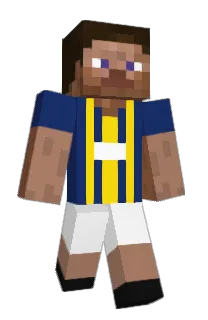 Front of Mertdzeko's skin