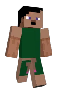 shizennnn's Minecraft skin