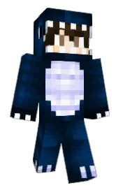Skin preview