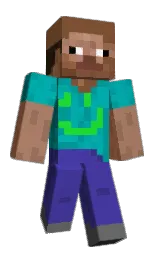 Minecraft skin — Classic model