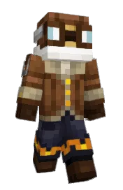 Skin preview