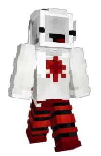 Front of CoinyRoad's skin