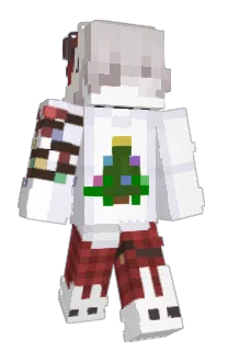 Front of Snimpf's skin