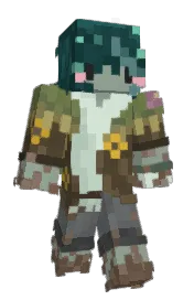 Skin preview