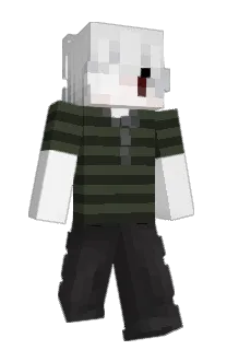 Front of lareey's skin