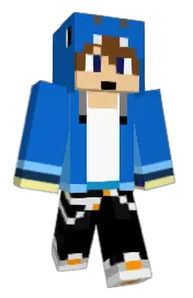 Skin preview
