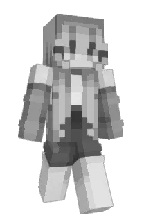 Front of XAXDRE's skin