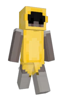 Front of sirgagner's skin