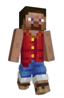 Front of pixent's skin