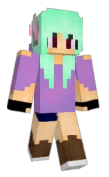 Minecraft skin — Classic model