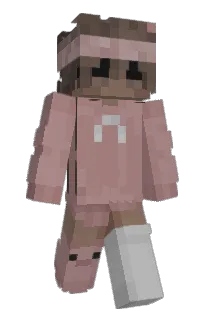 Front of TOPGRAY's skin