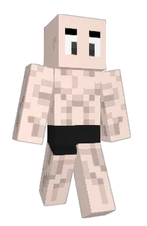 Front of SupaStinger's skin