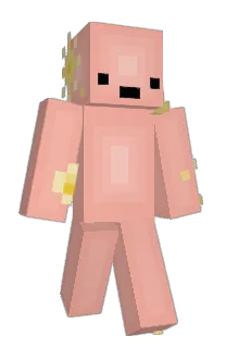 Front of Minecraft skin
