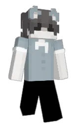 black and hit gray Minecraft skin — Slim model