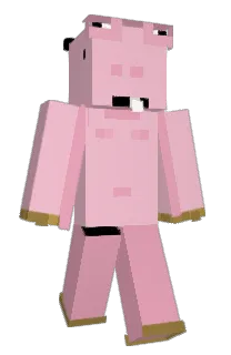 Front of ping9's skin