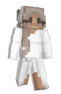 Front of airxelle's skin