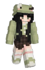 Skin preview