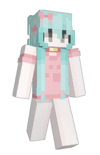 Front of S4ap's skin