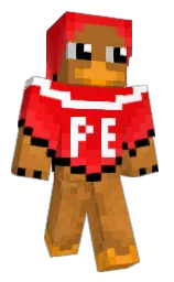 Minecraft skin — Classic model