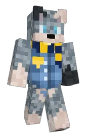 Skin preview