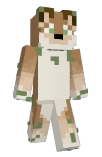 Front of Doopyowo's skin