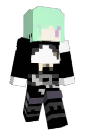 Skin preview