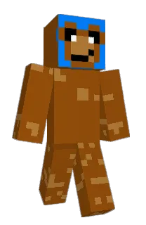Front of Aarviin's skin
