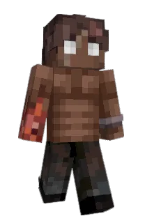 Front of IDFCAYM's skin