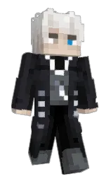 Minecraft skin — Classic model