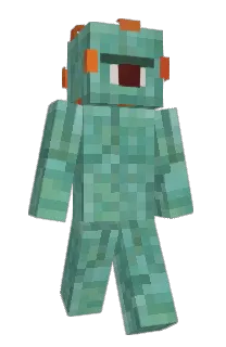 Front of guardiqn's skin