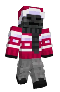 Front of Skibidiwii's skin