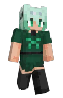 Front of SimpleyViridian's skin